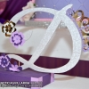 cumpleaños-dashly-marie-en-villa-riva007